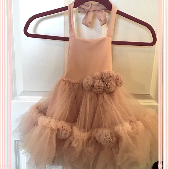 spinkiewear Other - 🎉3X HOST PICK🎉 Dress